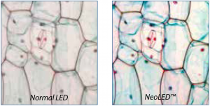 iscope_neoled