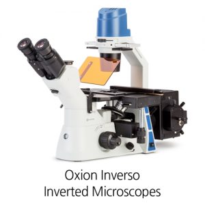 OxionInverso01